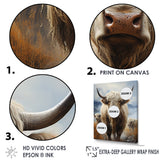 Yaks grazing in mountain - Yaks Bedroom Wall Art