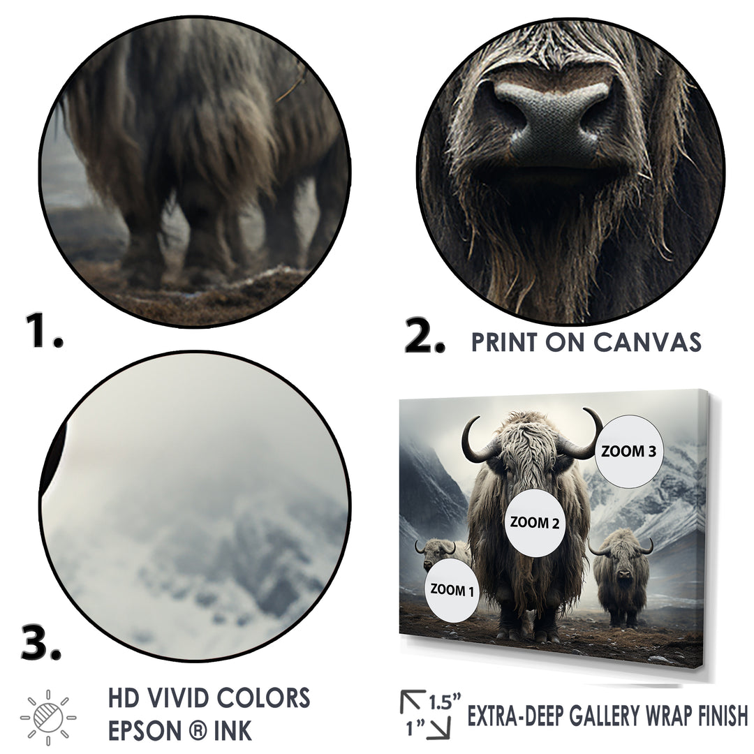 Monochrome Yaks Grazing Scene - Yaks Canvas Wall Art