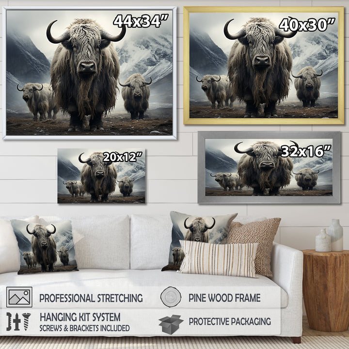 Monochrome Yaks Grazing Scene - Yaks Canvas Wall Art