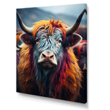 Colorful fur yak portrait - Yaks Large Canvas Wall Art