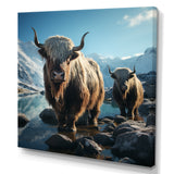 enchanted yaks portrait in winter - Yaks Canvas Wall Art