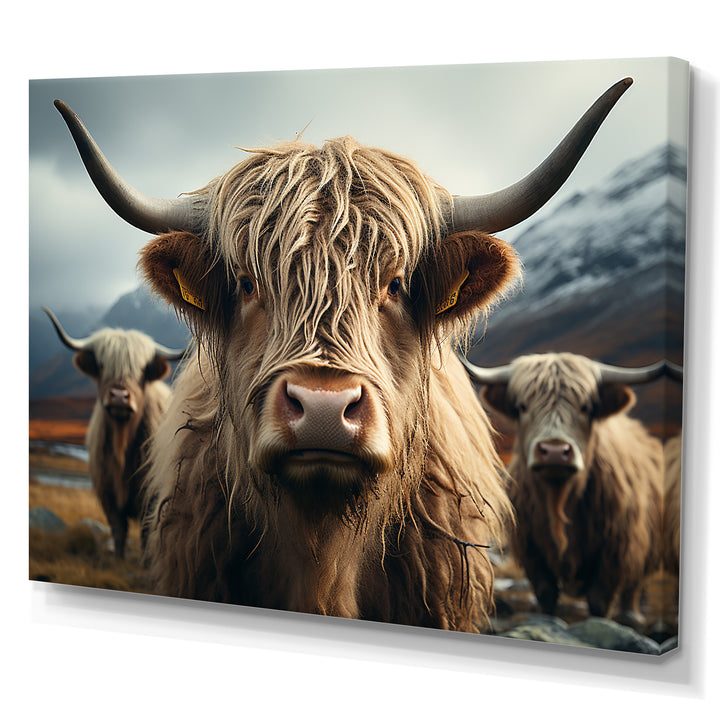 Majestic Highlands Yaks - Yaks Wall Decor