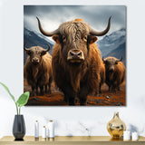 Brown Yaks panorama - Yaks Wall Decor