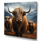 Brown Yaks panorama - Yaks Wall Decor