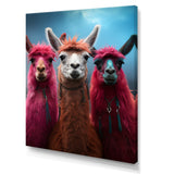 Pink Alpacas Wool Artistry - Pink Alpaca Wall Art