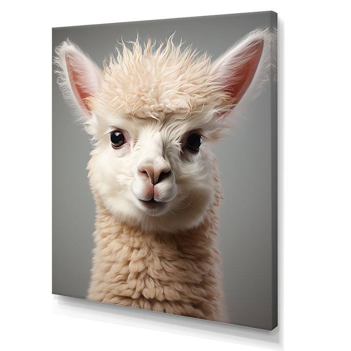 White Majestic Alpaca portrait - Alpaca Wall Art Prints