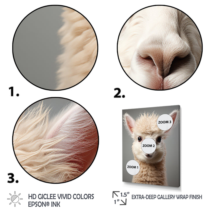 White Majestic Alpaca portrait - Alpaca Wall Art Prints