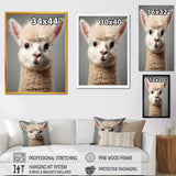 White Majestic Alpaca portrait - Alpaca Wall Art Prints