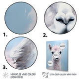 Grey Majestic Alpaca portrait - Gray Alpaca Wall Art