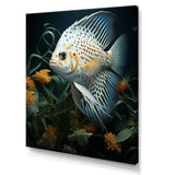 White Classical Butterfly fish Symphony - Butterfly Fish Framed Canvas Art