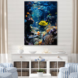 Blue butterfly fish Marine Grace - Butterfly Fish Bedroom Wall Art