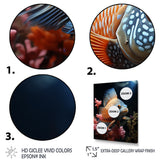 Coral Butterfly Fish expedition - Blue Butterfly Fish Wall Art