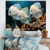 White and blue butterfly fish Wonderland - White Butterfly Fish Wall Art