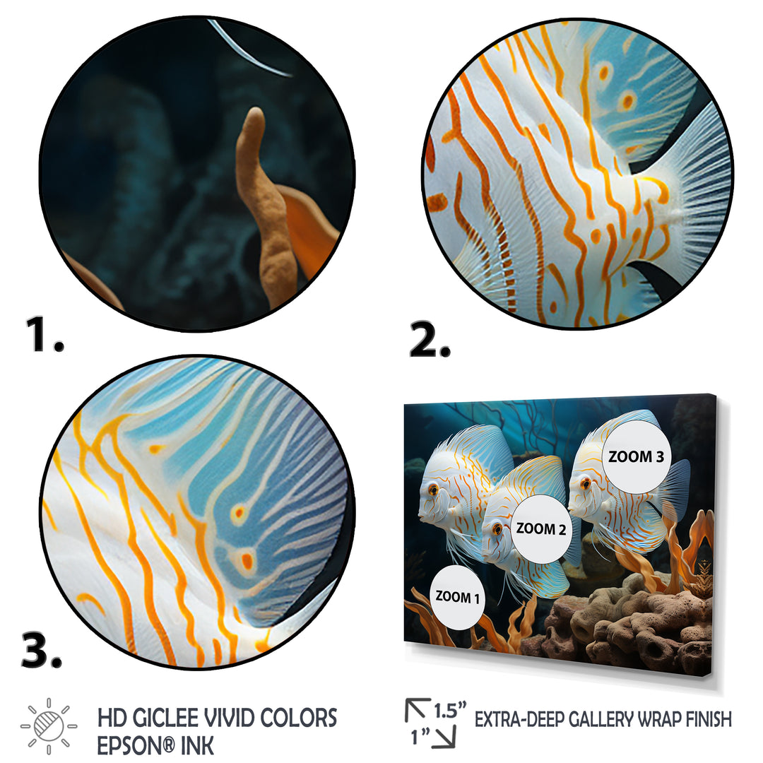 White and blue butterfly fish Wonderland - White Butterfly Fish Wall Art