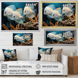 White and blue butterfly fish Wonderland - White Butterfly Fish Wall Art