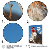 Rooster portrait photo - Chicken Canvas Wall Art
