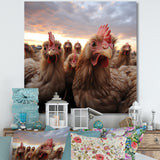 Red Chicken family at sunset - Chicken Wall Art Prints