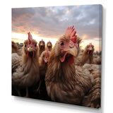Red Chicken family at sunset - Chicken Wall Art Prints