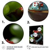 Jumping frog Hideaway - Blue Coastal Animal Wall Art