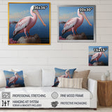 Pink Pelican Poise - Coastal Animal Wall Decor
