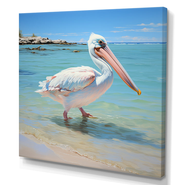 Tropical Pelican Poise - Coastal Animal Wall Art Prints