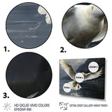 Seagulls Flight - Coastal Animal Large Canvas Wall Art
