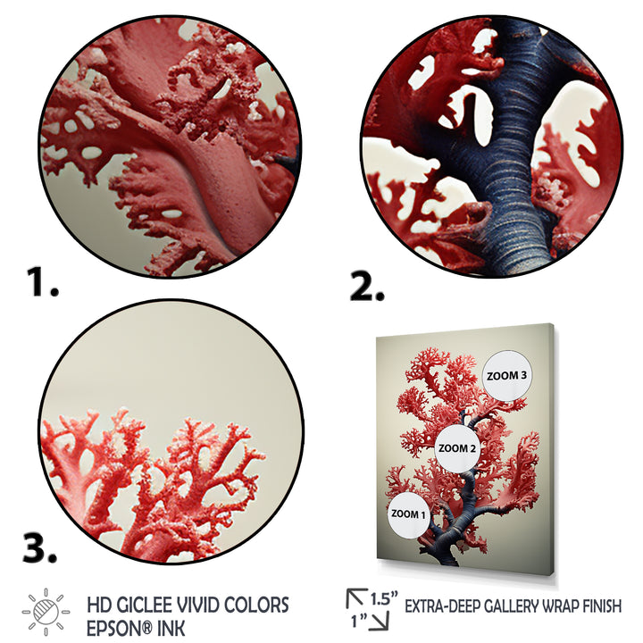 Classical Marine coral Beauty - Coral Wall Art Prints