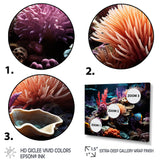 Tranquility coral Reef Serenity - Blue Coral Wall Art