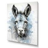 Charming grey donkey portrait - Donkey Framed Canvas Art