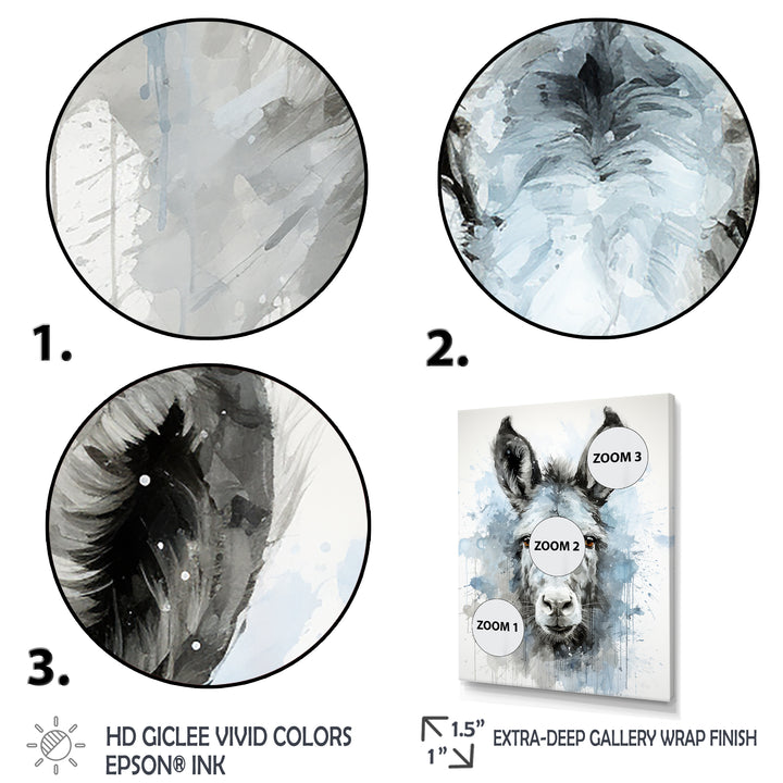Charming grey donkey portrait - Donkey Framed Canvas Art