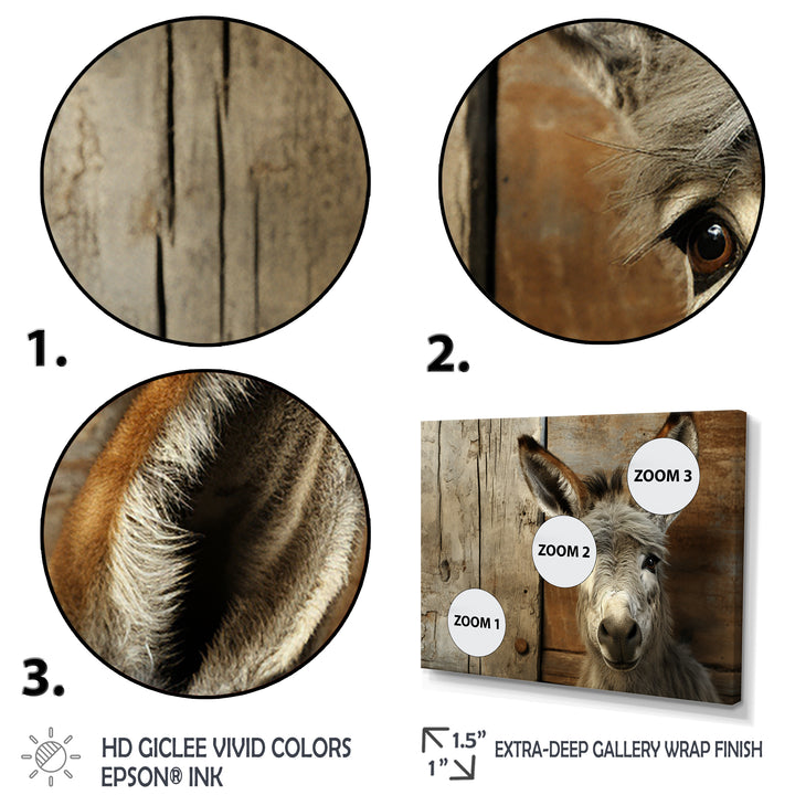 Wood Charming donkey portrait - Donkey Canvas Wall Art