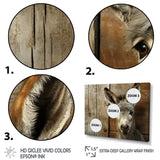 Wood Charming donkey portrait - Donkey Canvas Wall Art