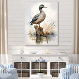 Minimalist Mallard Duck at the pond II - Animals Canvas Wall Art