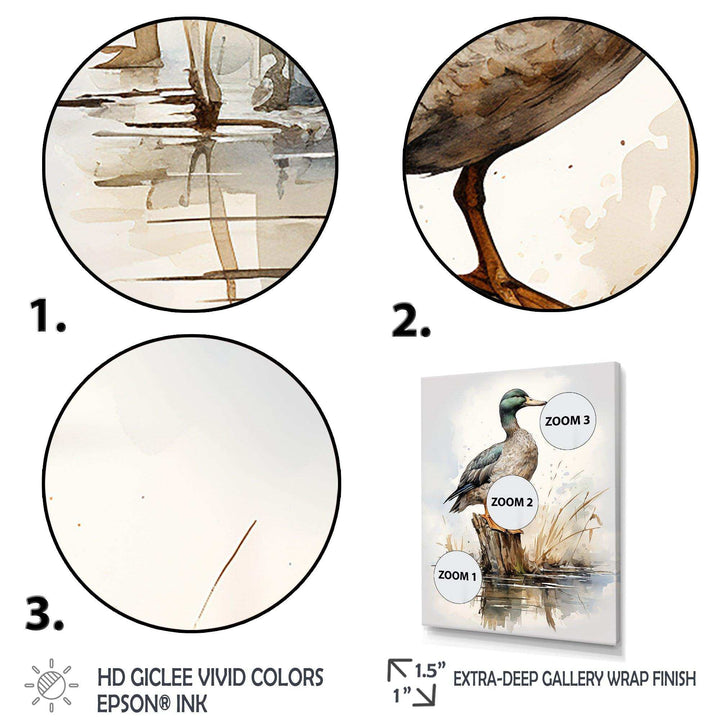 Minimalist Mallard Duck at the pond II - Animals Canvas Wall Art