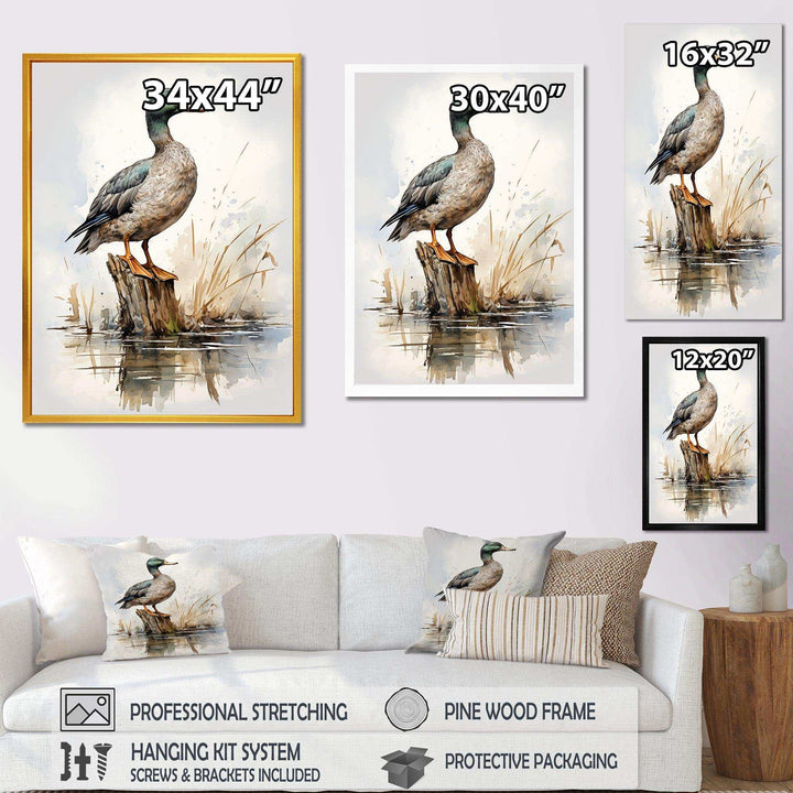 Minimalist Mallard Duck at the pond II - Animals Canvas Wall Art