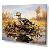 Waddling duck in the countryside I - Animals Canvas Wall Art