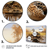 Waddling duck in the countryside I - Animals Canvas Wall Art