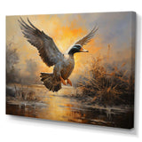 Vintage duck Flight at the pond II - Animals Canvas Wall Art