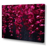 Pink and black Blossom Cascade fuschia flowers - Floral Canvas Wall Art