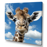 Majestic Giraffe photo Portrait - Giraffe Wall Decor