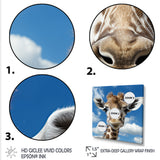 Majestic Giraffe photo Portrait - Giraffe Wall Decor