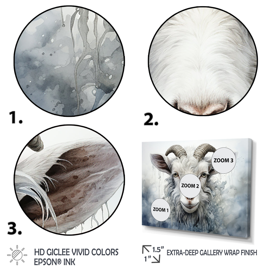 White Grazing Goat portrait - Goat Wall Art Prints