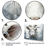 White Grazing Goat portrait - Goat Wall Art Prints