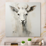 White Echoes of the Alpine goat portrait - Goat Large Canvas Wall Art