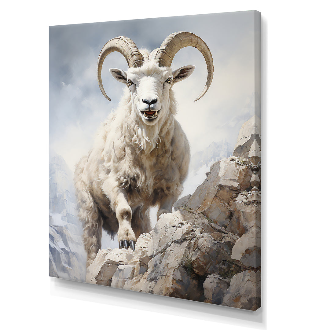 Cliff Climber Chamois goat - Goat Framed Canvas Art