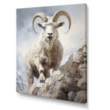 Cliff Climber Chamois goat - Goat Framed Canvas Art