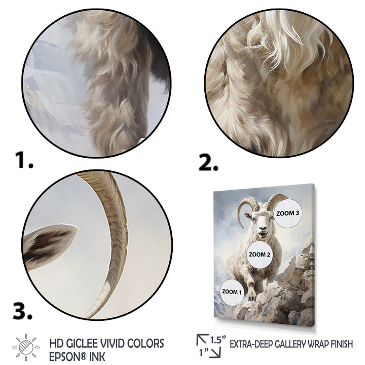 Cliff Climber Chamois goat - Goat Framed Canvas Art