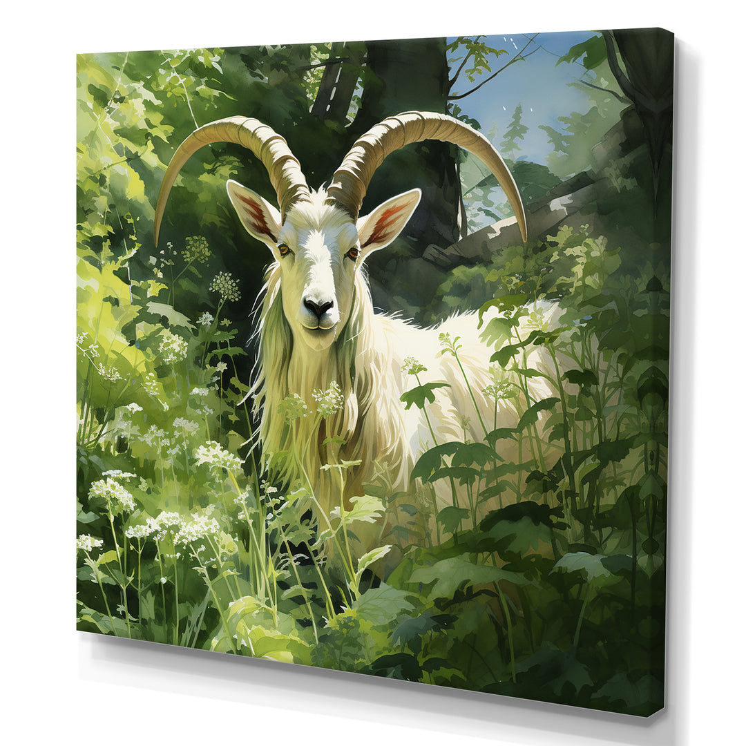 Pastoral goat Portrait - Goat Framed Canvas Art
