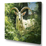 Pastoral goat Portrait - Goat Framed Canvas Art
