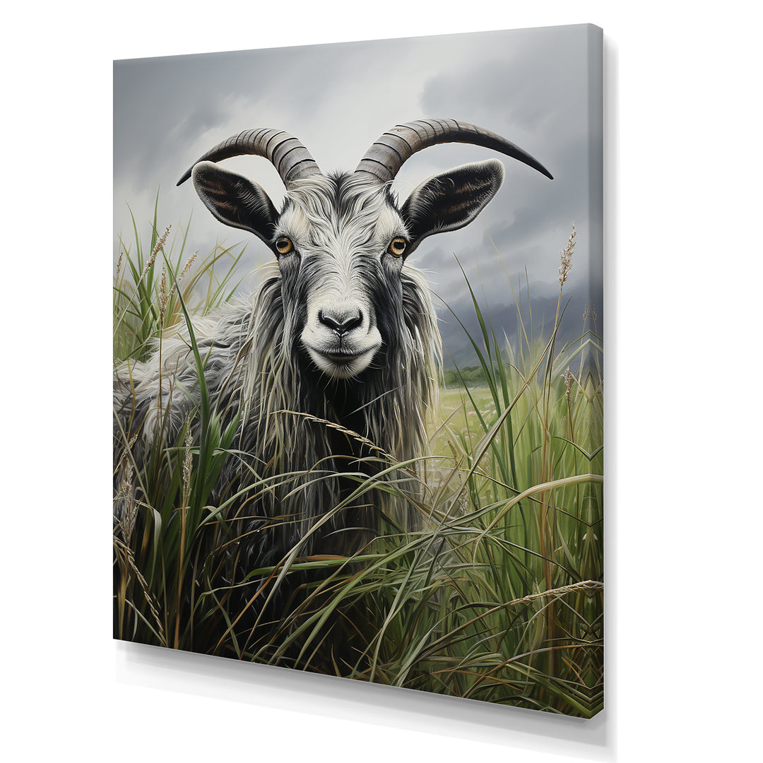 Grey meadow buck Goat Peaks - Goat Home Decor Art